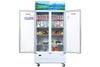 Tủ mát Sanaky 900 lít Inverter VH-1009HP3
