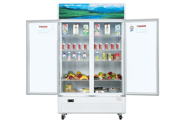 Tủ mát Sanaky Inverter 1100 lít VH-1209HP3