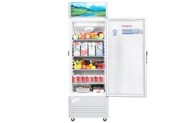 Tủ mát Sanaky 240 lít VH-308KL