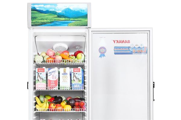 Tủ mát Sanaky 240 lít VH-308KL