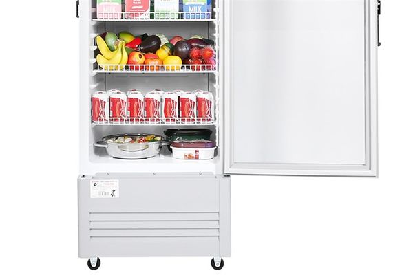 Tủ mát Sanaky 240 lít VH-308KL
