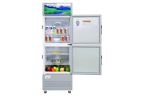 Tủ mát Sanaky 240 lít VH-308WL