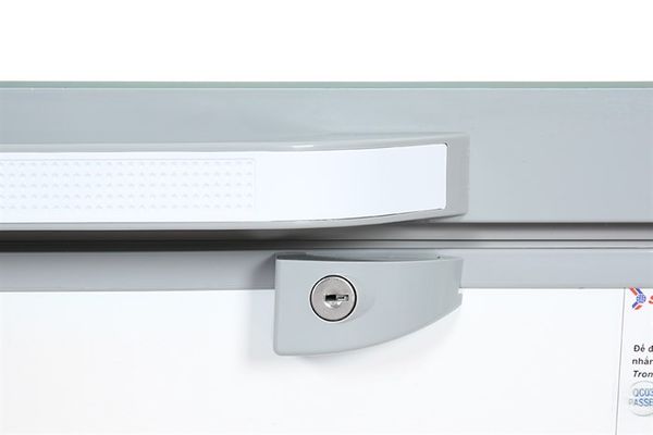 Tủ đông Sanaky Inverter 305 lít VH-4099A4K