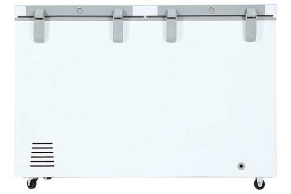 Tủ đông Sanaky Inverter 280 lít VH-4099W4K