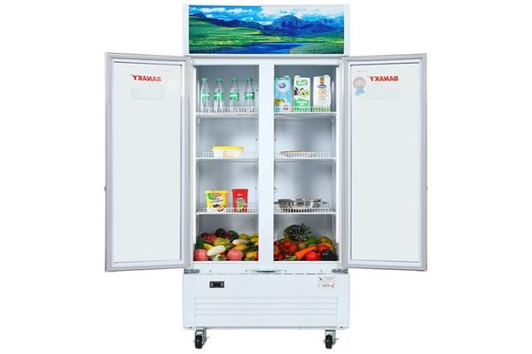 Tủ mát Sanaky 500 lít VH-6009HP