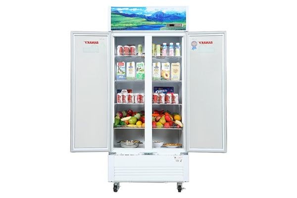 Tủ mát Sanaky 700 lít VH-8009HP