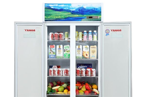 Tủ mát Sanaky 700 lít VH-8009HP