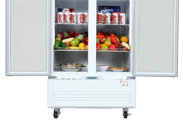 Tủ mát Sanaky 700 lít VH-8009HP