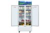 Tủ mát Sanaky Inverter 700 lít VH-8009HP3