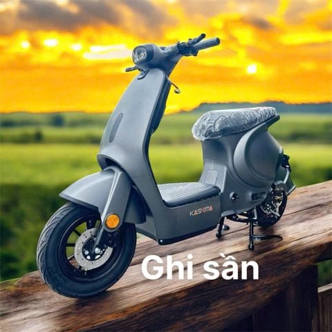 Xe đạp điện D2