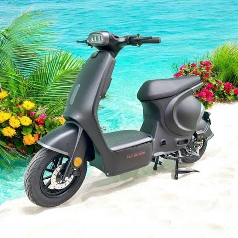 Xe đạp điện D2