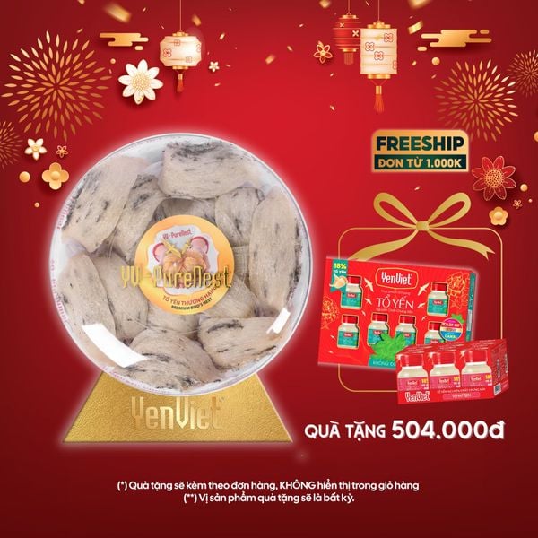 Bạch Nguyên Yến (Tổ Yến Thô Thượng Hạng) - Hộp 100Gr