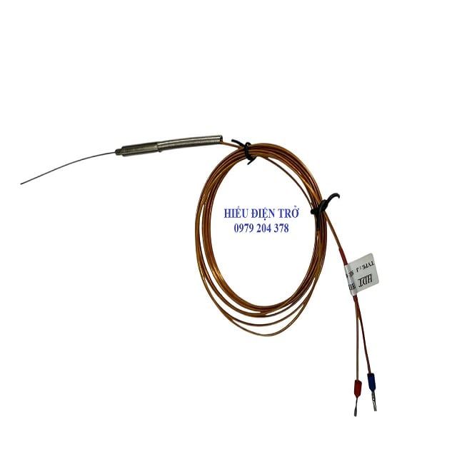 Đầu dò nhiệt độ Can J Phi 1x100 2m