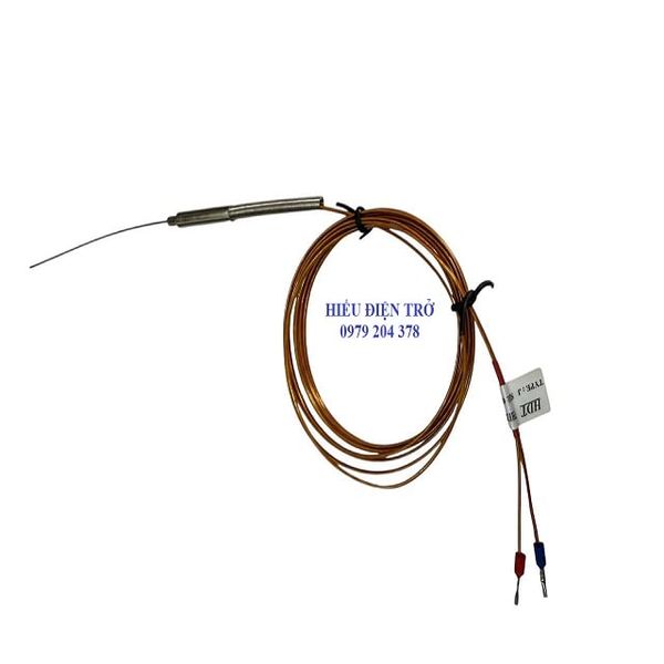  Đầu dò nhiệt độ Can J Phi 1x100 2m 