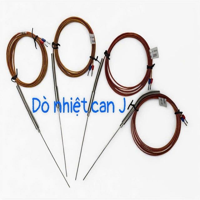 Đầu dò nhiệt độ Can J Phi 1x100 2m