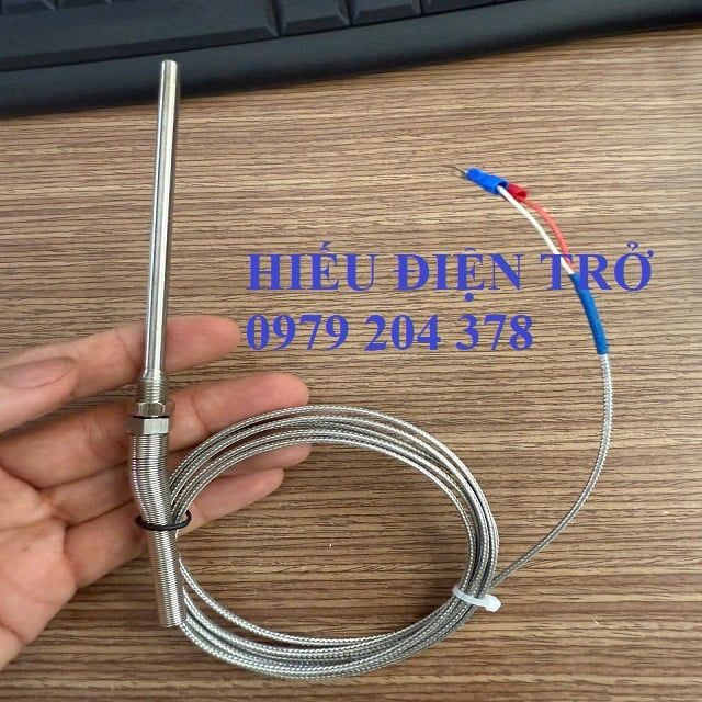 Đầu dò nhiệt độ Can K M8x100 2m