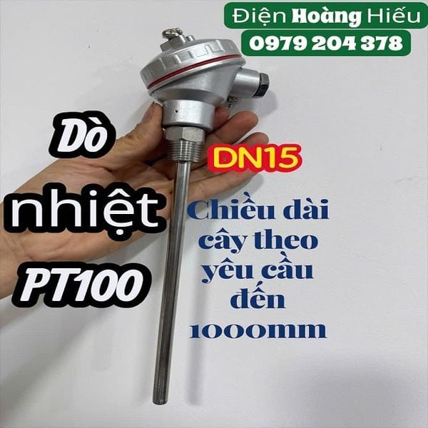  Can nhiệt dò, nhiệt PT100 dạng củ hành theo yêu cầu 