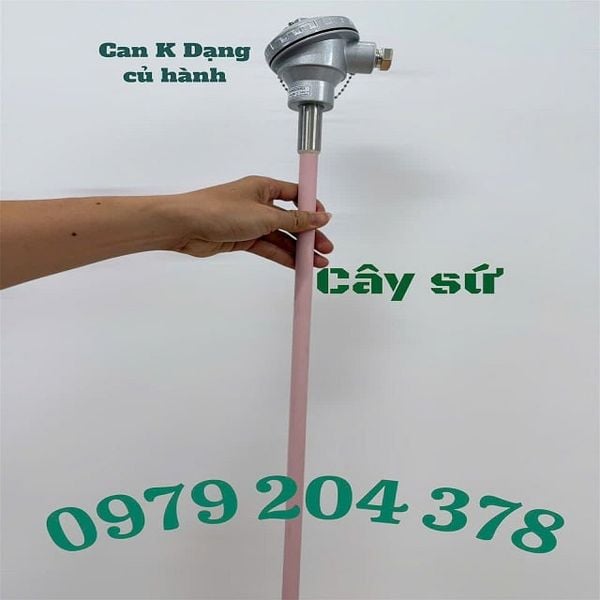  Cây bằng sứ dài 900mm, Đầu dò  can K dạng củ hành 