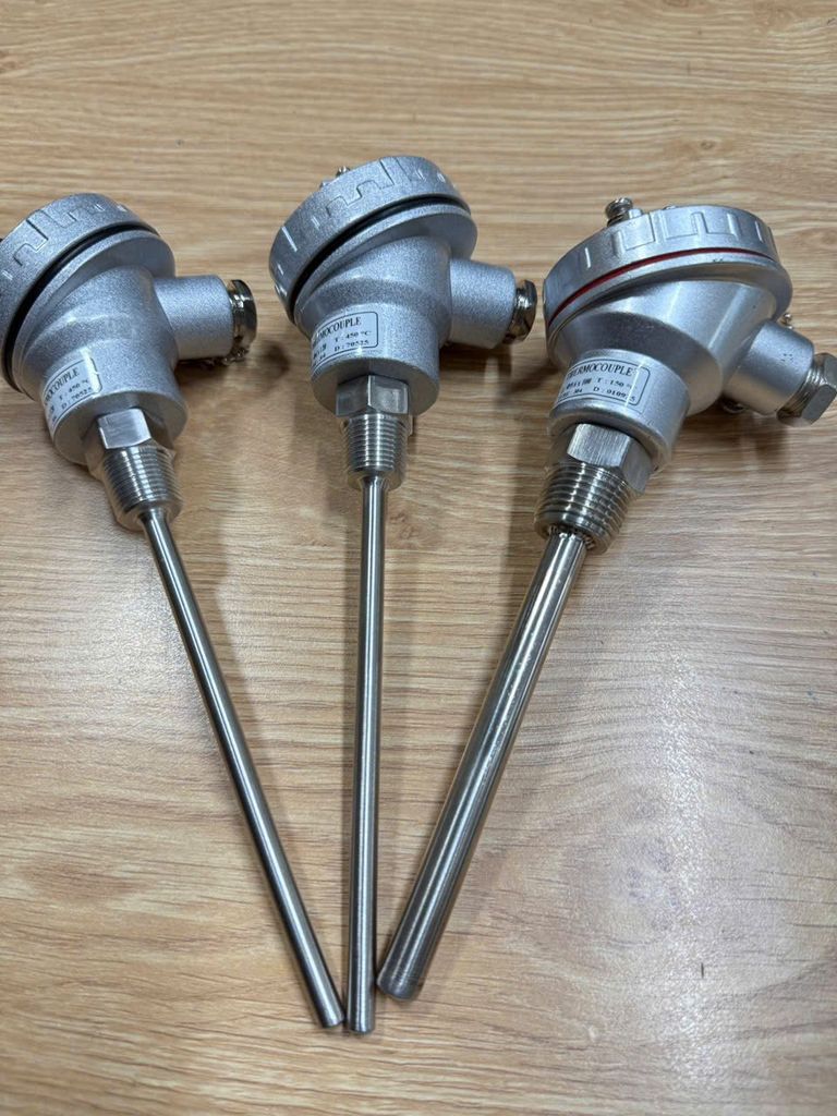 Cảm biến nhiệt độ PT100