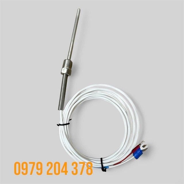 Cây dò nhiệt PT100 theo yêu cầu