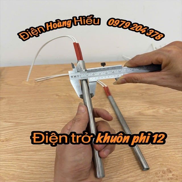 phi 12x300mm Điện trở khuôn, điện trở 1 đầu