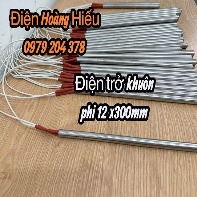 phi 12x300mm Điện trở khuôn, điện trở 1 đầu
