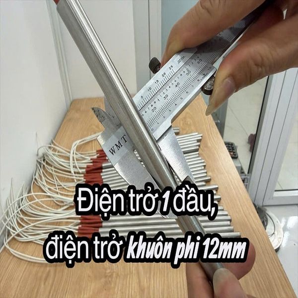  phi 12x300mm Điện trở khuôn, điện trở 1 đầu 