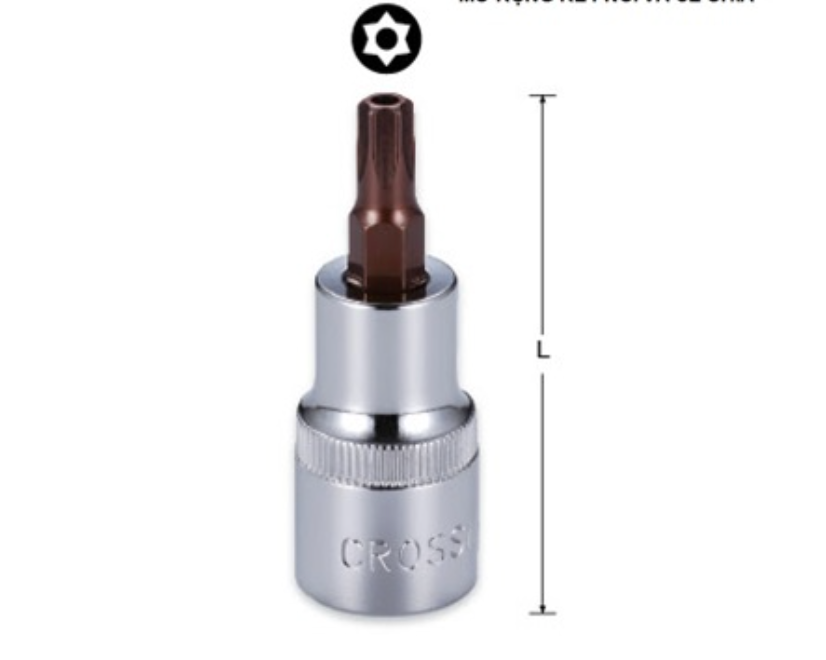 Đầu Tuýp 1/4 Inch Bit Hình Bông Có Lỗ T15 Crossman 99-476 Chính Hãng