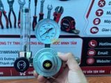 Đồng Hồ Argon Tanaka Venus F22AR