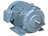 Motor 3 Pha 2HP Chân Đế 2HP-TFO-K(DK)