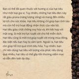  Tiêu  hạt hữu cơ. 