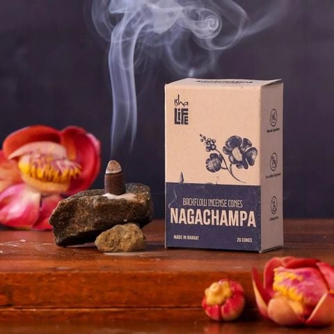  HƯƠNG NỤ Backflow – Gói 20 Nón – Nagachampa 