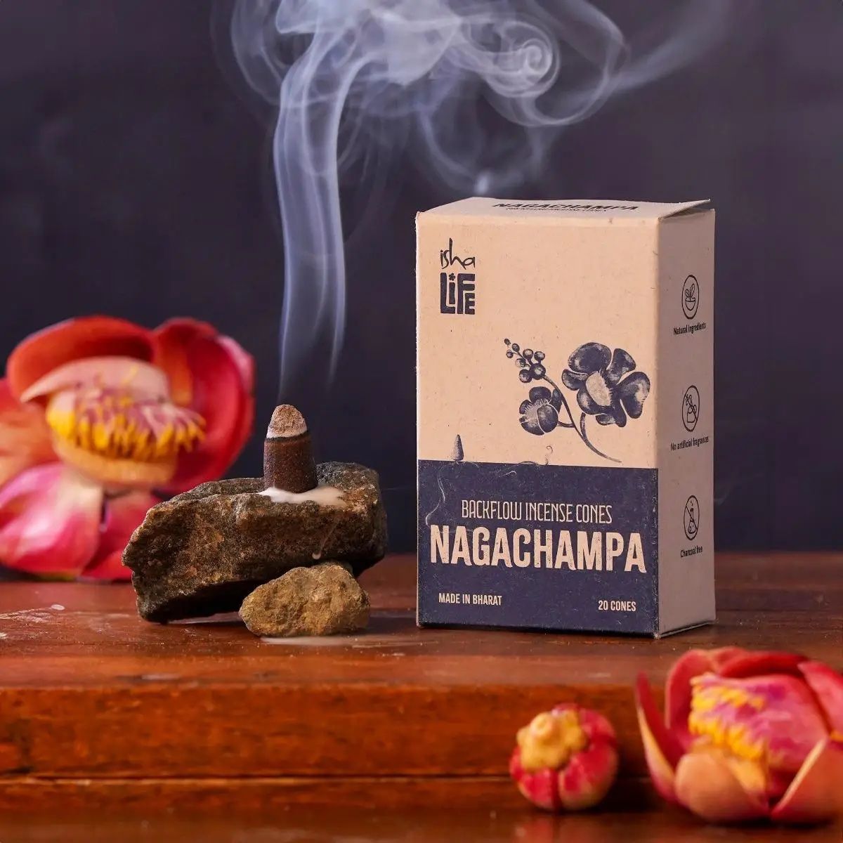  HƯƠNG NỤ Backflow – Gói 20 Nón – Nagachampa 