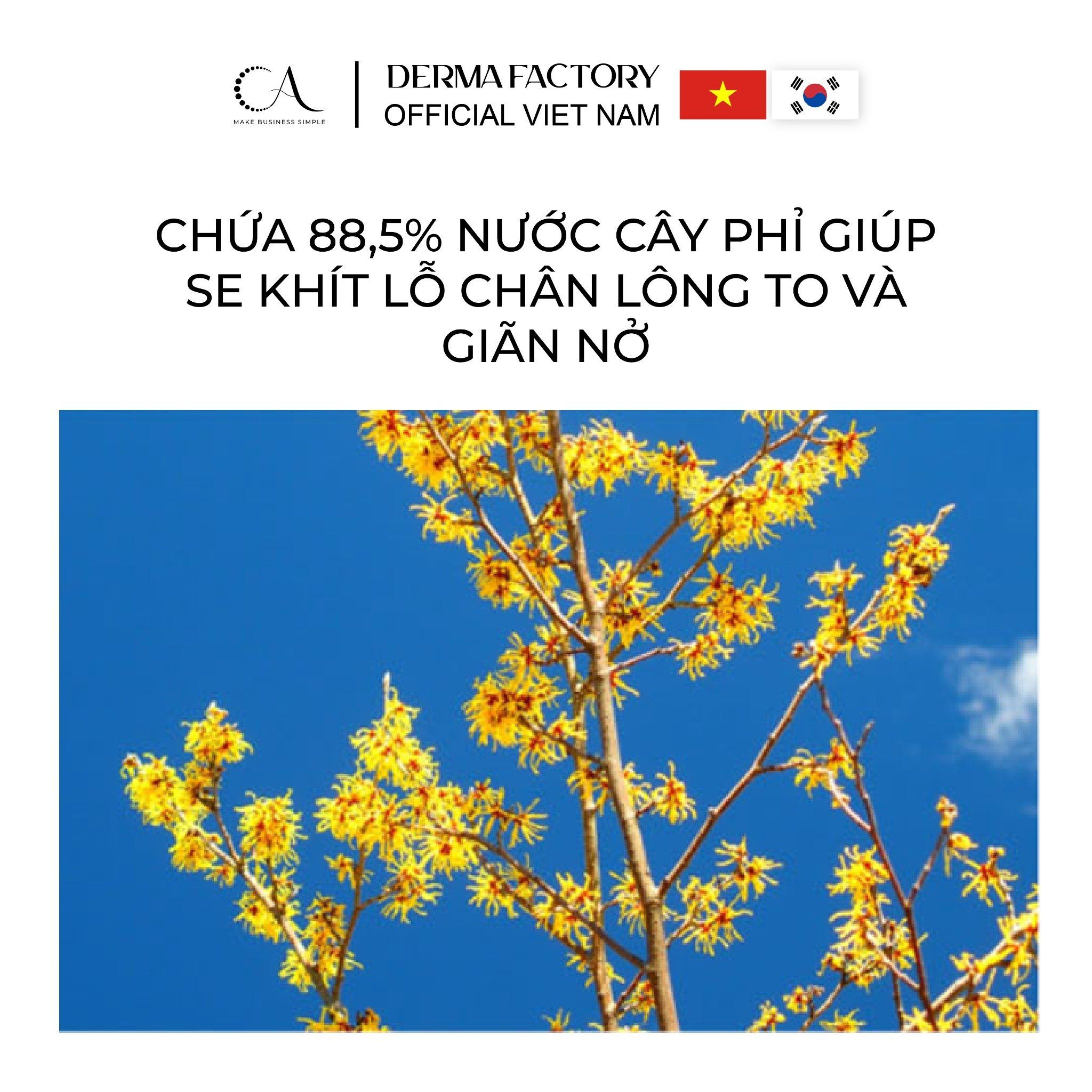  Derma Factory Tranexamic Acid Water Essence 150ml – Tinh chất nước làm sáng da & giảm thâm nám nhẹ nhàng 