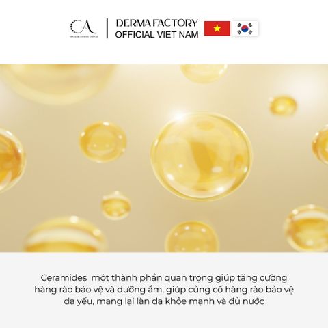  Derma Factory Cera-Panthenol 11% Intensive Ampoule tinh chất tái tạo và phục hồi da tổn thương 