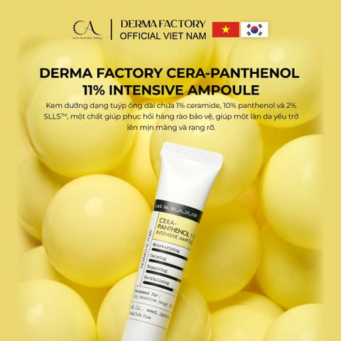  Derma Factory Cera-Panthenol 11% Intensive Ampoule tinh chất tái tạo và phục hồi da tổn thương 