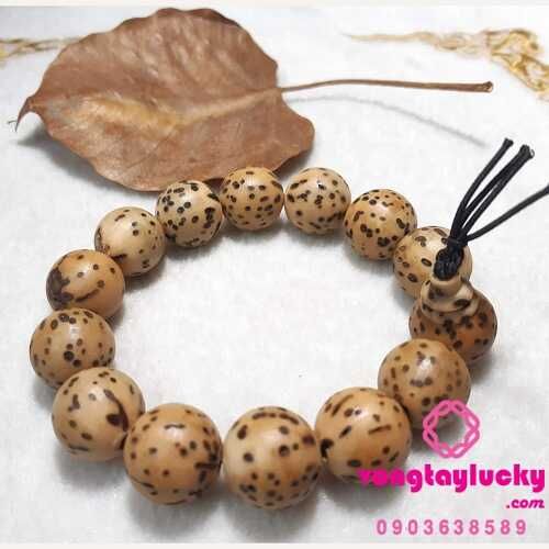 Bồ đề thiên nhãn tây tạng 16li cho Nam tay lớn 70kg trở lên