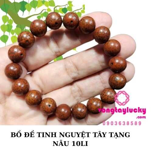 chuỗi bồ đề tinh nguyệt, vòng bồ đề tinh nguyệt, bồ đề đeo tay, bồ đề tinh nguyệt tây tạng, bồ đề nepal