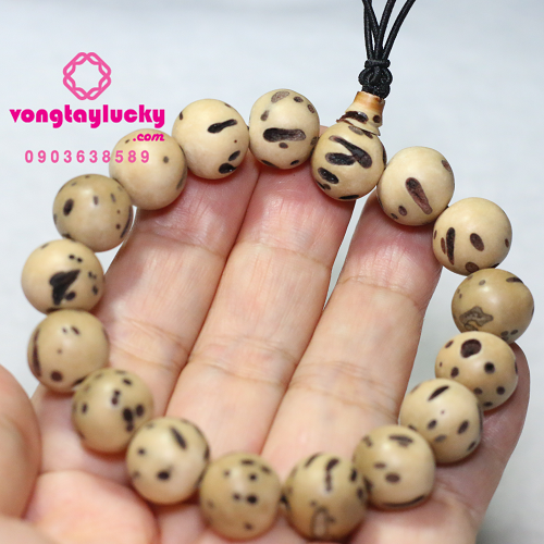 bồ đề thiên nhãn bồ đề thiên nhãn Tây tạng chuỗi bồ đề đeo tay chuỗi bồ đề cho nam, đeo chuỗi bồ đề tâm an, chuỗi bình an