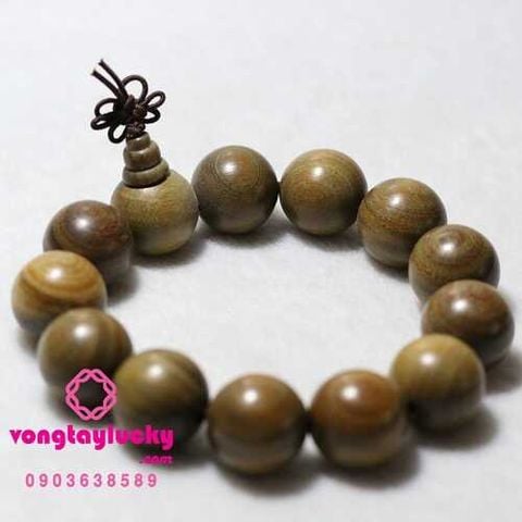 vòng gỗ bách xanh chất lượng, gỗ bách xanh giá tốt, gỗ bách xanh chất lượng