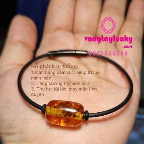 Hổ Phách Conac – Tinh hoa triệu năm, năng lượng cát tường