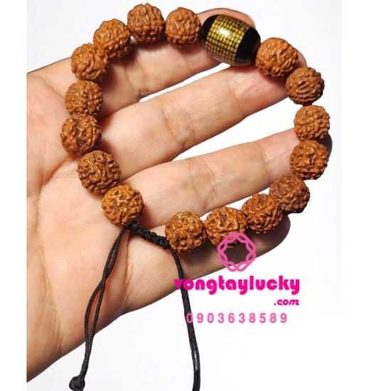 bồ đề kim cang, bồ đề kim cang 5 múi, chuỗi bồ đề cho nam nữ, chuỗi Rudraksha, chuỗi Rudraksha đeo tay, vòng tay bồ đề