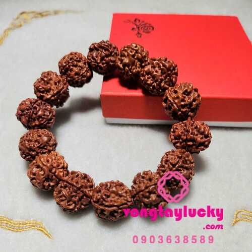 Chuỗi tay kim cang (Rudraksha) Tây tạng hạt 17,5 li=18li 5 múi độc đáo đeo tay không hồ lô