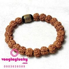 Hình ảnh bài viết