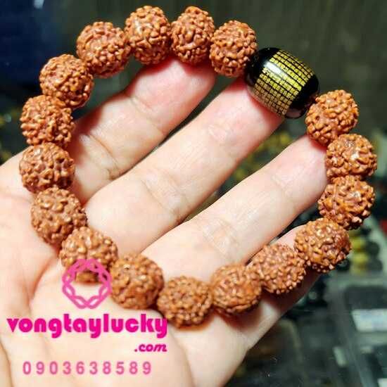 bồ đề kim cang, bồ đề kim cang 5 múi, chuỗi bồ đề cho nam nữ, chuỗi Rudraksha, chuỗi Rudraksha đeo tay, vòng tay bồ đề