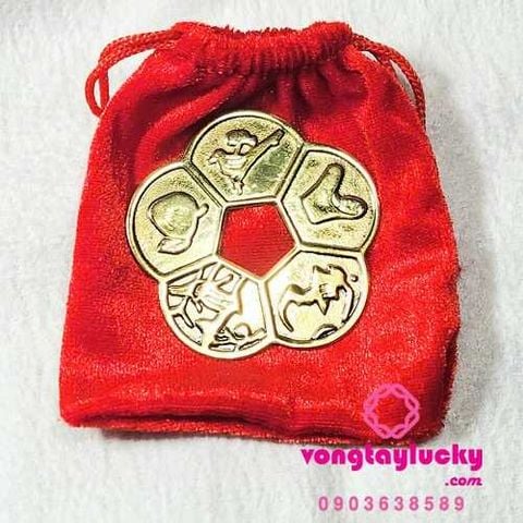 đồng xu hoa mai kim tiền, đồng xu hoa mai bỏ ví, đồng xu hoa mai phong thủy, đồng xu hoa mai, đồng xu hoa mai giữ lộc