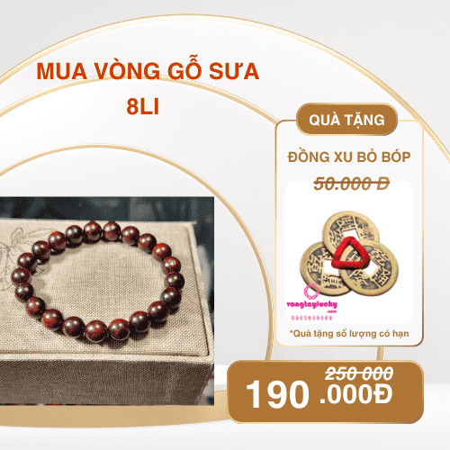 Vòng tay gỗ sưa bóng 8li kèm quà tặng đồng điếu