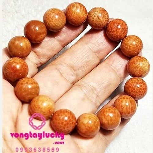 Vòng tay đá san hô đỏ hóa thạch 12 li thiên nhiên dạng tổ ong mệnh Hỏa và Thổ