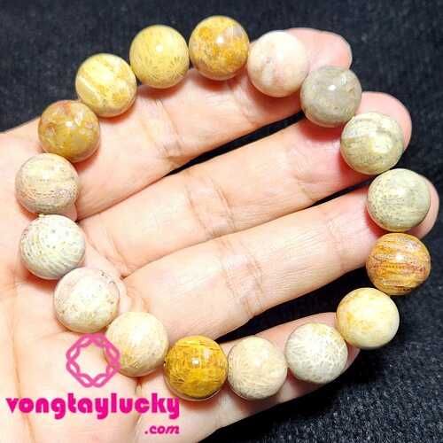 san hô hóa thạch, san hô hóa thạch thiên nhiên, vòng tay san hô hóa thạch, hô hóa thạch trắng, vòng tay nam đá san hô