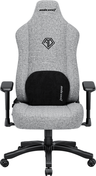 Ghế Gaming AndaSeat Novis Grey AD23-L-01-G-F